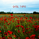 Coquelicots en plein été avec ciel bleu
